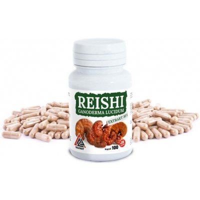 Valknut REISHI Ganoderma Lucidum extrakt 30:1VALKNUT 120 kapslí – Hledejceny.cz