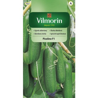 Okurka skleníková Picolino F1 Vilmorin Classic 10 semen