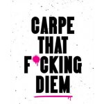 Carpe That F*cking Diem - Summersdale Publishers – Hledejceny.cz