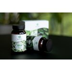 ADAPTO GREEN + TL GREEN Green idea 180 tablet – Hledejceny.cz