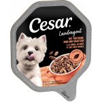 Cesar Adult Dog Landküche hovězí krůtí a bylinky v omáčce 14 x 150 g – Zboží Mobilmania
