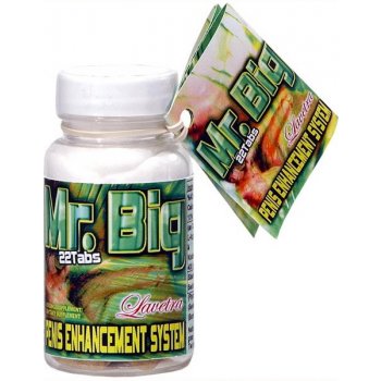 Mr. Big Penis Enhancement System 22 tbl