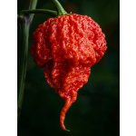 Semena Carolina Reaper HP22B – Zboží Dáma