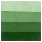 Charbonnel Grafická barva 200 ml sap green – Hledejceny.cz