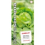 Dobrá semena Salát celoroční ledový - Kamelot 0,4g – Hledejceny.cz