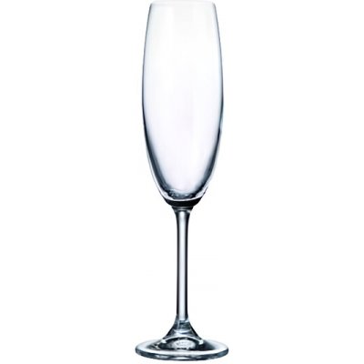 Bohemia Crystal Sklenice gastro na sekt 6 x 220 ml – Zbozi.Blesk.cz