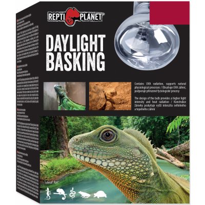 Repti Planet Daylight Basking Spot 25 W – Zboží Dáma