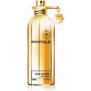 Parfém Montale Aoud Leather parfémovaná voda unisex 100 ml