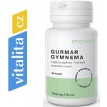 Gurmar Epigemic 60 kapslí – Hledejceny.cz