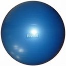 POWER SYSTEM POWER GYMBALL 65 cm