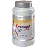 Starlife L-Lysine Star 60 tablet – Zboží Mobilmania