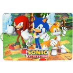 Stor Prostírání Sonic 42x29cm – Zboží Mobilmania