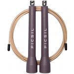 PICSIL ABS FY26 – Sleviste.cz
