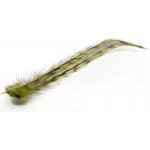 Tommi-Fly Peří Coq de Leon 06 – Hledejceny.cz