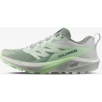 Salomon Sense Ride 5 W L47314100 lily pad/metal green ash – Sleviste.cz