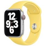 Apple Watch MGQR3ZM/A – Hledejceny.cz