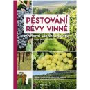 Pěstování révy vinné