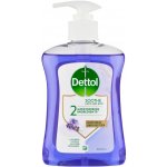 Dettol Nourish vyživující antibakteriální tekuté mýdlo dávkovač 250 ml – Hledejceny.cz