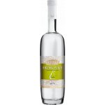 Fleret Tradice Hruškovice 40% 0,5 l (holá láhev) – Zbozi.Blesk.cz