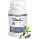 OKG Factor Base Detox 60 tablet – Hledejceny.cz