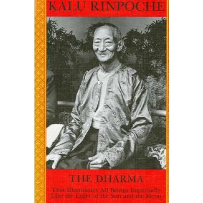 Dharma: That Benefits All Beings Impartially Like the Light of the Sun and Moon Kalu RinpochePaperback – Zboží Mobilmania