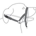 Karlie Ohlávka proti táhnutí Easy leader XS – Sleviste.cz