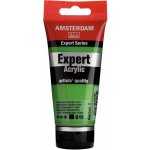 Amsterdam Akrylová barva 75 ml Permanent Green Light – Hledejceny.cz