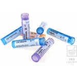 ARNICA MONTANA POR 30CH GRA 4G – Zboží Dáma ARNICA MONTANA POR 30CH GRA 4G – Zboží Dáma