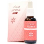 Energy Cistus Incanus 30 ml – Hledejceny.cz