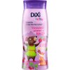 Dětské šampony Dixi Sviště šampon a balzám na vlasy pro holčičky 250 ml