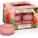 Yankee Candle Sun-Drenched Apricot Rose 12 x 9,8 g