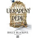 Ukradený dědic - Holly Blacková