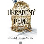 Ukradený dědic - Holly Blacková – Hledejceny.cz