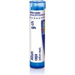 ALLIUM CEPA POR 9CH GRA 1X4G – Hledejceny.cz