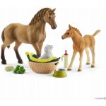 Schleich 42432 Set hříbě a Quarter kůň se štěňátkem a doplňky – Zboží Mobilmania