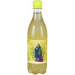 Stevikom bio Kombucha s heřmánkem 500 ml – Sleviste.cz