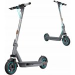 Motus Scooty 10 Plus GEN 6 – Zboží Dáma