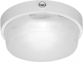 Lena 950544