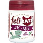 Odčervovací byliny pro kočky feli TATZ kapsle cdVet 24 kapslí – Zboží Dáma