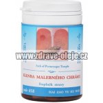 TCM Herbs Klenba malebného chrámu 100 tablet – Hledejceny.cz