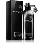 Montale Aoud Cuir d'Arabie parfémovaná voda pánská 100 ml tester – Hledejceny.cz