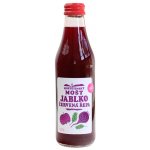 Moštárna Hostětín Hostětínský mošt jablko červená řepa bio 250 ml – Zboží Dáma