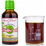 Bylinné kapky Střední ucho tinktura Bylinné kapky Bylinkářovo tajemství 50 ml – Hledejceny.cz