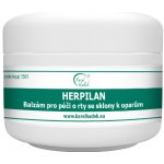 AKH HERPILAN Balzám 30 ml – Hledejceny.cz