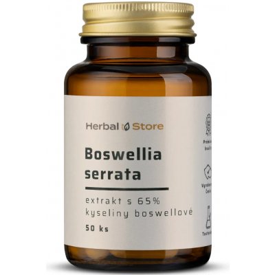Boswellia serrata kapsle extrakt s 65% kyseliny boswellové 50 kapslí – Hledejceny.cz