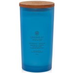 Chesapeake Bay Candle Chesapeake Bay Reflection + Clarity 354 g – Zboží Mobilmania