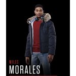 Marvel's Spider-Man: Miles Morales (Ultimate Edition) – Zbozi.Blesk.cz