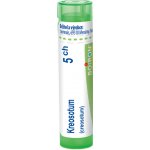 KREOSOTUM POR 5CH GRA 1X4G – Hledejceny.cz