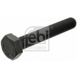 Šroub, stojan ložiska-kliková hřídel FEBI BILSTEIN 18160 – Zboží Mobilmania