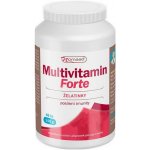 Nomaad Vitamin Forte 40 ks – Hledejceny.cz